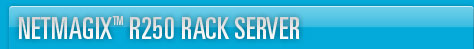 Netmagix R250 Rack Server