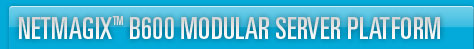 Netmagix B600 Modular Server Platform
