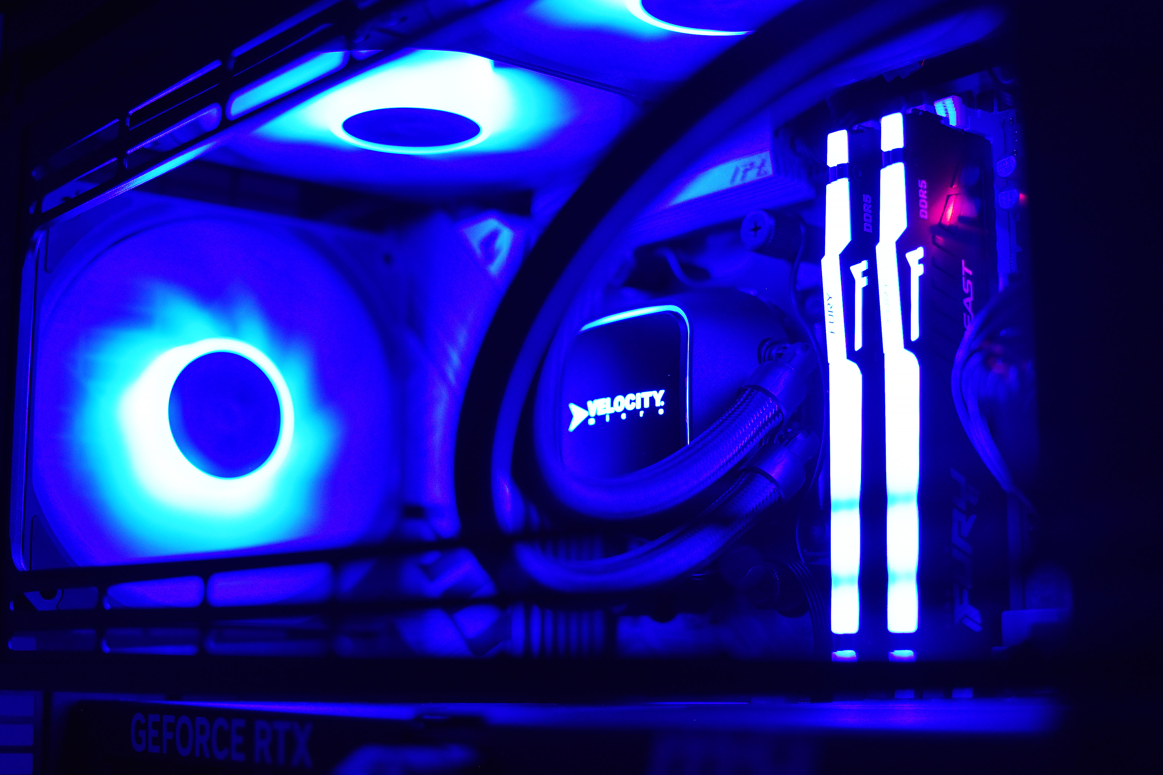 Closeup of the Raptor Z55