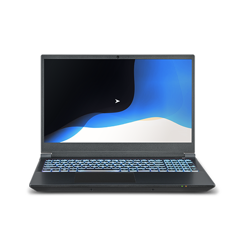 Raptor MX50 15 inch Gaming Laptop