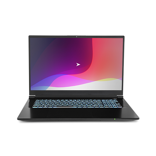 Raptor MX70 17 inch Gaming Laptop