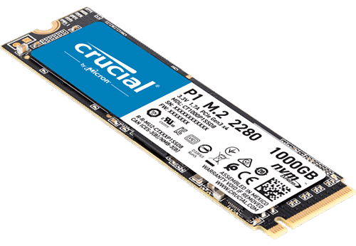 Crucial P1